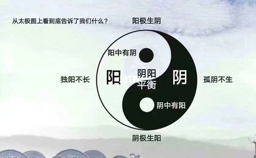 风水师点评家居必须阴阳平衡