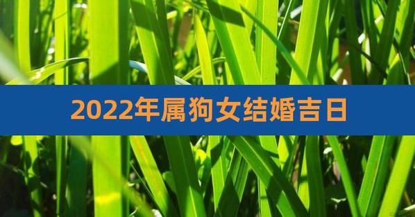 属狗女结婚后会变成什么样子