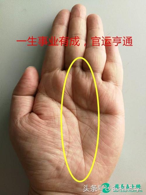 左手有事业线右手没有命运如何 事业线的作用