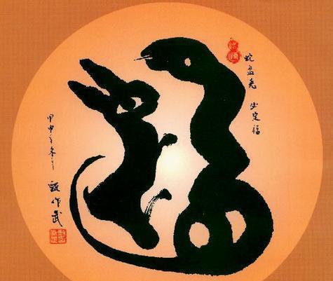 龙兔相冲反而大吉