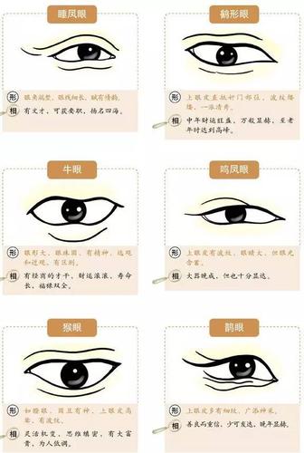 丹凤眼的面相图解