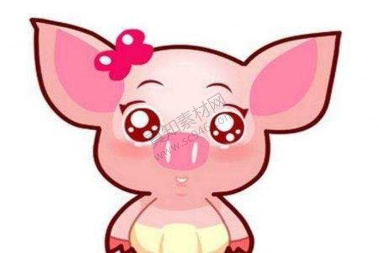 2019年属猪的几月出生最好,猪宝宝几点出生最好