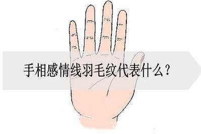 感情线羽毛状或链状