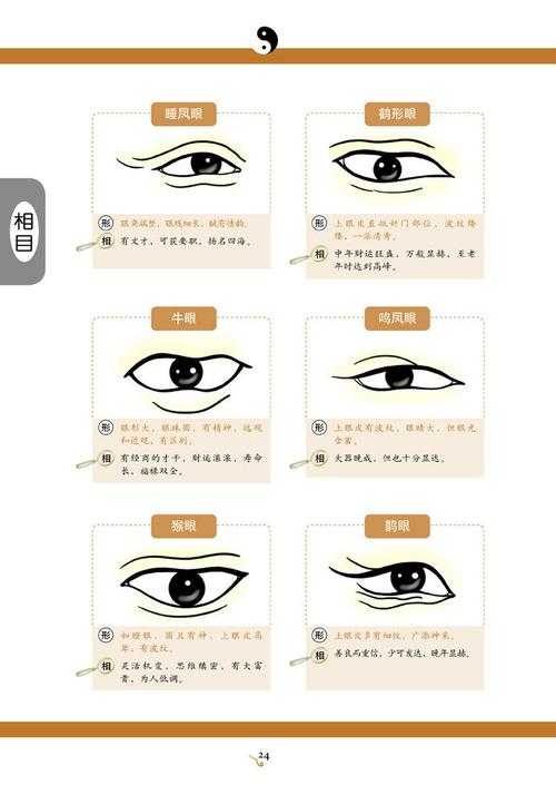 面相分析什么人最好命