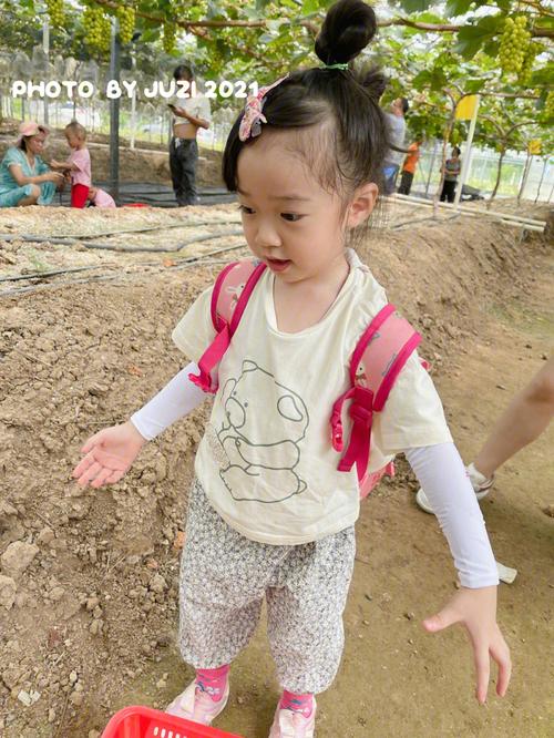 梦见葡萄园周公解梦,梦见葡萄园是什么意思?