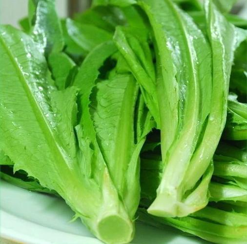 油麦菜
