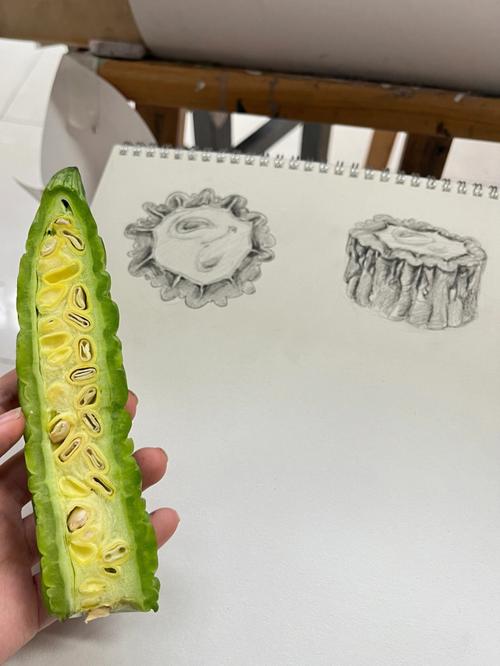 苦瓜的心理学解析