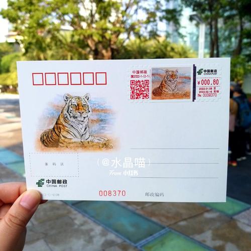 壬寅年最适宜添虎宝宝的生肖
