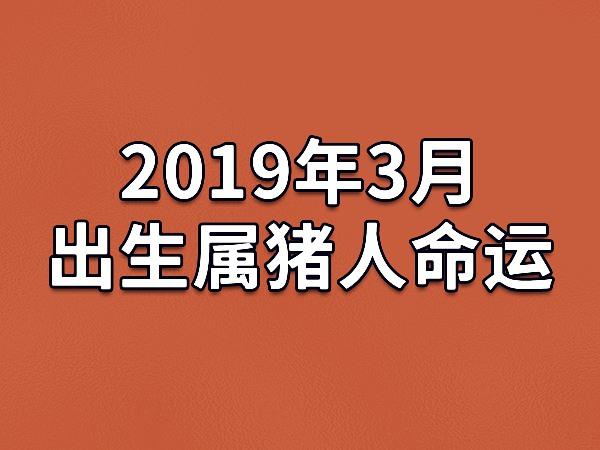 2019年3月属猪的人爱情运势怎么样