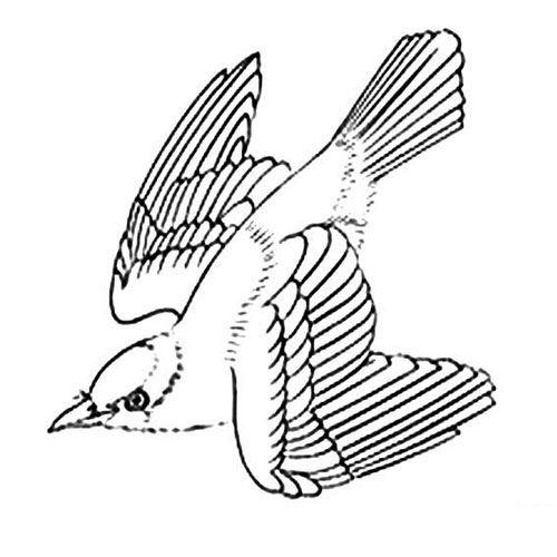 梦见黄鹂鸟飞到手里