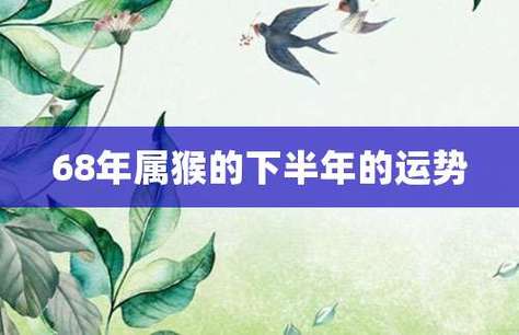 56出生属猴今年下半年的运气