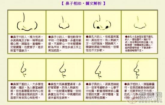 鼻子暗示的人生运势