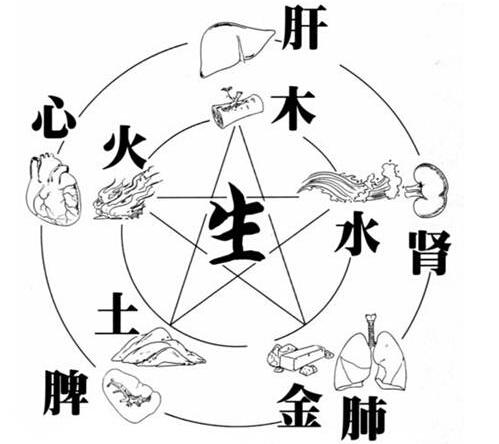 五行缺木者必看