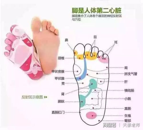 先苦后甜的人有哪种脚相特征
