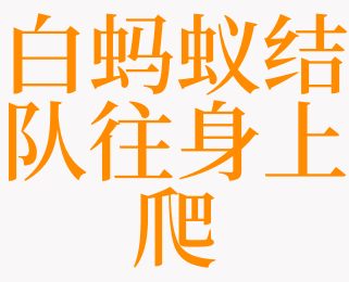 梦见白蚂蚁往身上爬