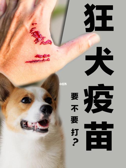 梦见被猫狗咬伤出血
