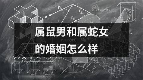女鼠男蛇的婚姻状况如何?属蛇的会怎样拒绝无感的人?