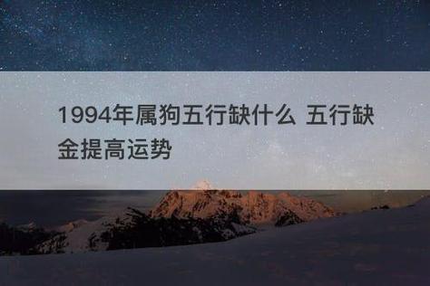 94年属狗人未来什么时候起大运