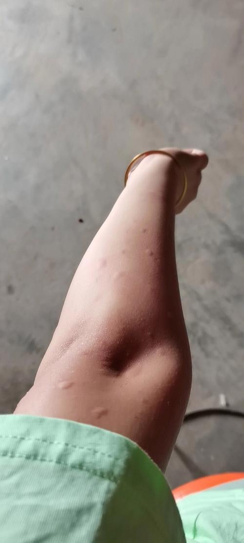 女人梦见在地上捡核桃预示着什么