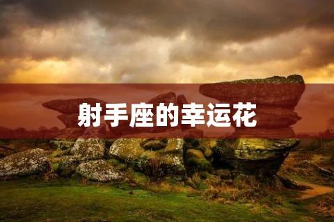 射手座女生的最佳爱情幸运物
