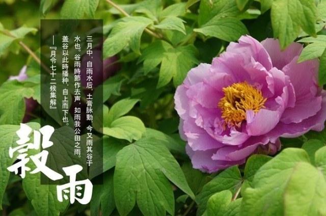 梦见谷干