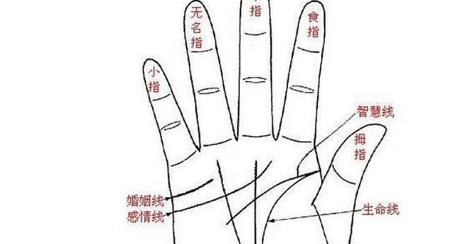 男人右手掌纹路图解,三大主线解析