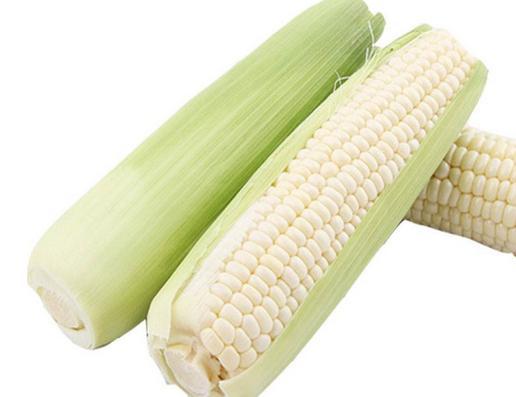 梦见白玉米