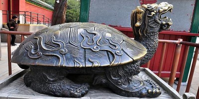 龙龟请一个还是一对