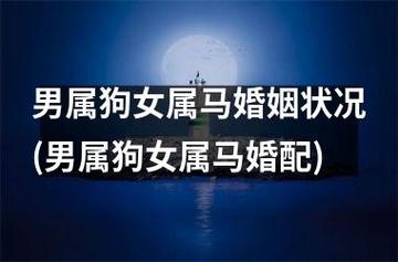 属马女嫁属狗男的婚姻幸福吗?生肖属马的性格好吗?