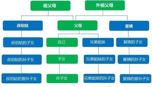 认干亲属相怎么配