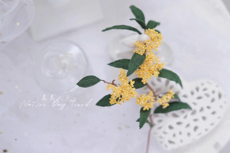 梦见月桂花周公解梦，梦见月桂花是什么意思？