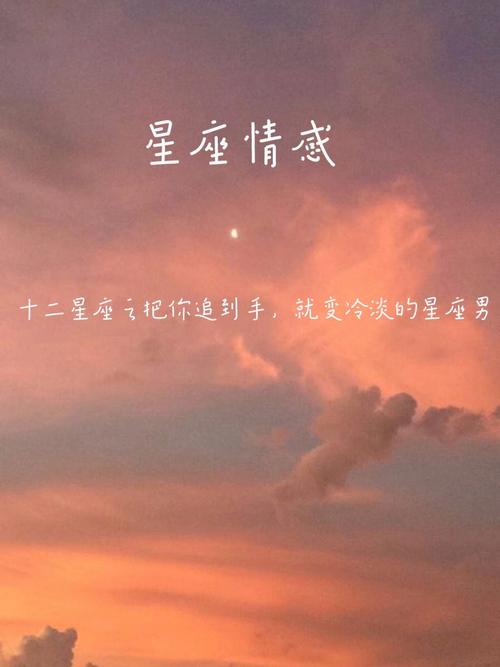你越冷漠 他越热情的星座男