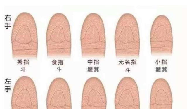 十指全是斗的是帝王命