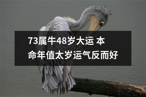 73年属牛48岁2021劫难