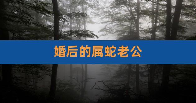 属蛇的男人喜欢离婚吗