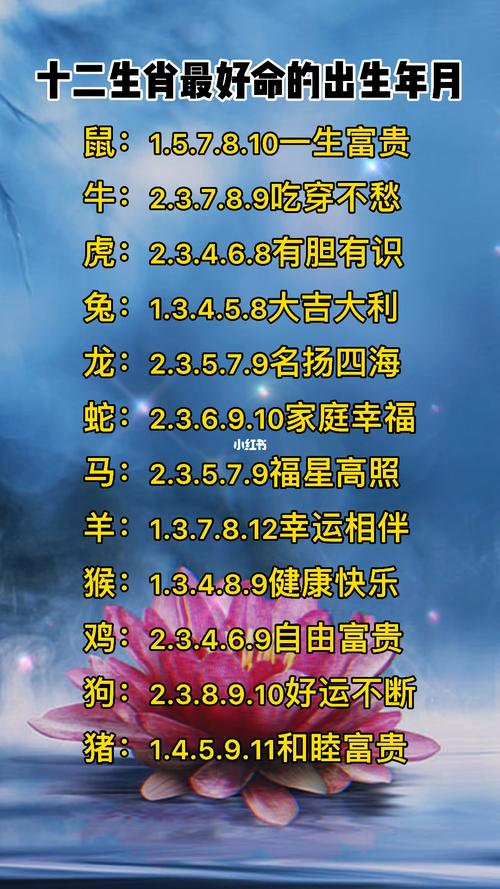 12生肖老公最怕几月份出生的老婆
