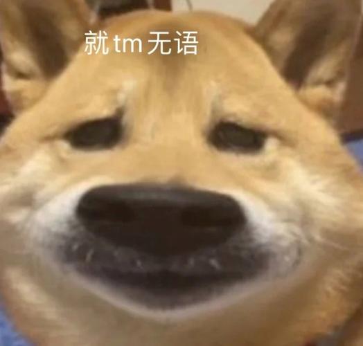 无语,这些生肖男最喜欢撩了就跑