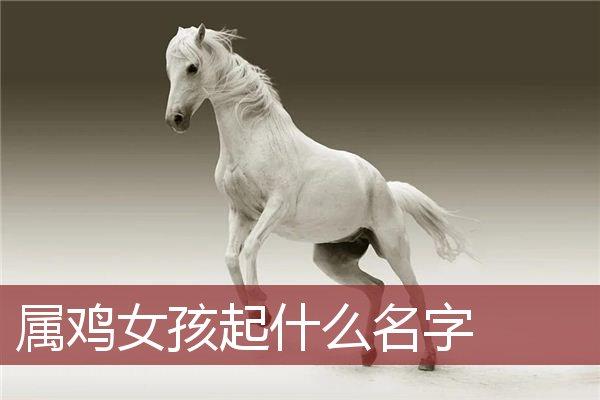 什么类型的女生最令属鸡男生心动?追求的目标?