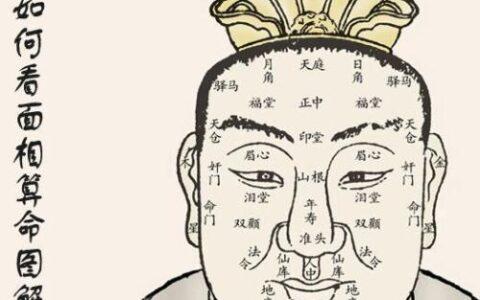 看相算财运,怎么从面相看财运