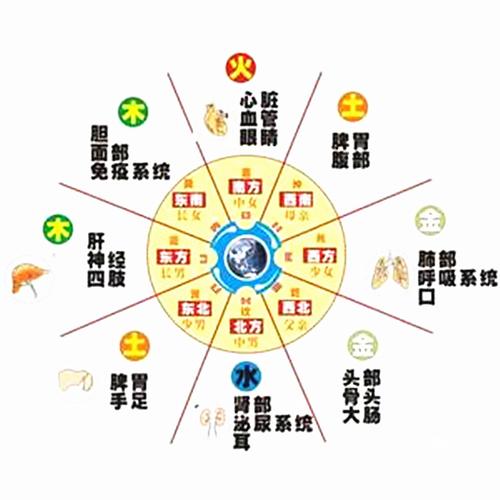 四柱预测:古今伤病灾标志