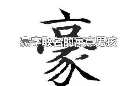 以豪字结尾的男孩名字