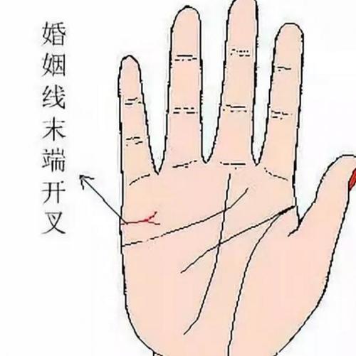 姻缘感情不专一的男命女命超准