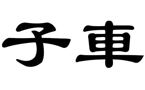 车姓猪年男宝宝名字