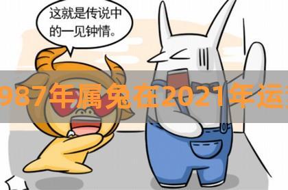 属兔一见钟情后会如何行动
