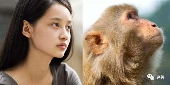 属猴是如何看待整容女生