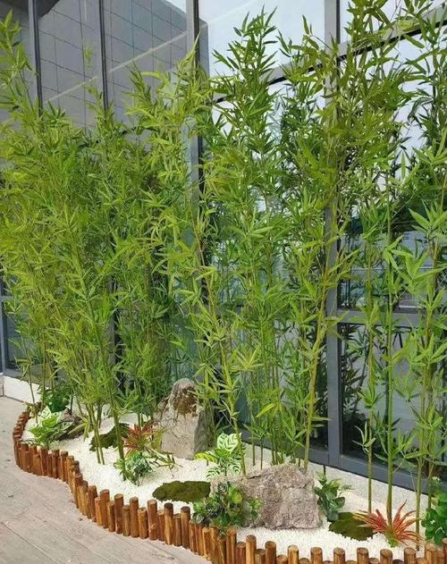 庭院种竹子的风水讲究