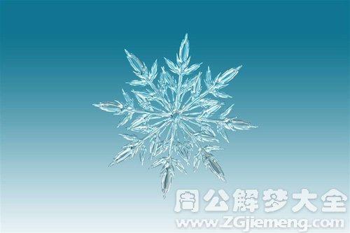 梦见大雪花
