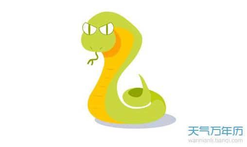 属蛇的人最讨厌什么天气