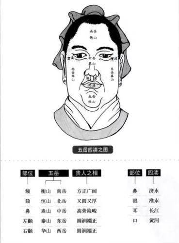 面相五岳如何看一个人的性格
