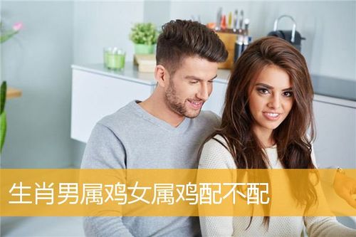 属鸡男不想和你聊天的表现